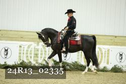24R13_02335 thumbnail