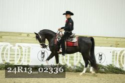 24R13_02336 thumbnail