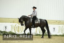 24R13_02341 thumbnail