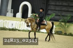 24R13_02343 thumbnail
