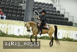24R13_02345 thumbnail