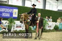24R13_02373 thumbnail