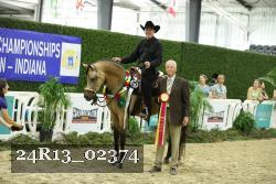 24R13_02374 thumbnail