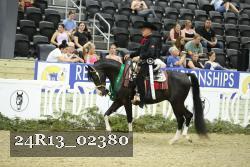 24R13_02380 thumbnail