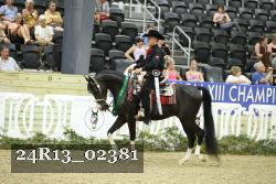 24R13_02381 thumbnail