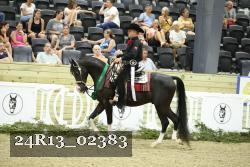 24R13_02383 thumbnail