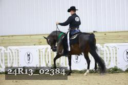 24R13_02384 thumbnail