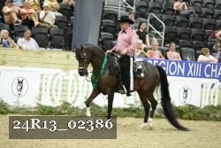 24R13_02386 thumbnail