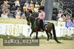24R13_02388 thumbnail