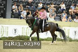 24R13_02389 thumbnail