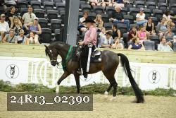 24R13_02390 thumbnail