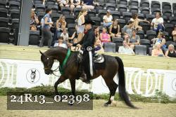 24R13_02398 thumbnail