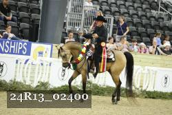 24R13_02400 thumbnail