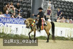 24R13_02401 thumbnail