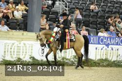 24R13_02404 thumbnail