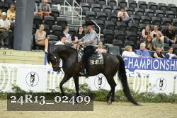 24R13_02409 thumbnail