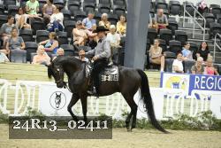 24R13_02411 thumbnail