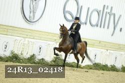 24R13_02418 thumbnail