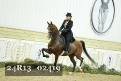 24R13_02419 thumbnail