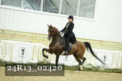 24R13_02420 thumbnail