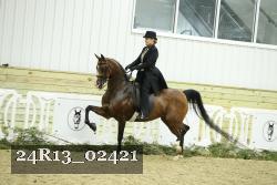 24R13_02421 thumbnail