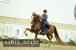 24R13_02422 thumbnail