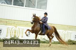 24R13_02423 thumbnail