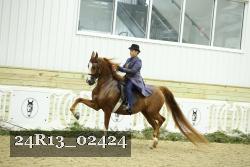 24R13_02424 thumbnail