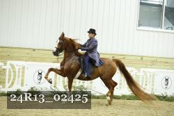 24R13_02425 thumbnail