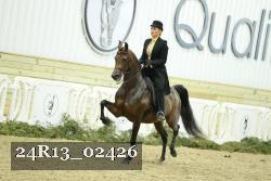 24R13_02426 thumbnail