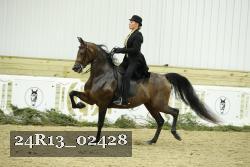 24R13_02428 thumbnail