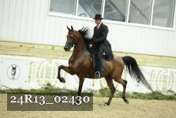 24R13_02430 thumbnail