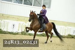 24R13_02431 thumbnail