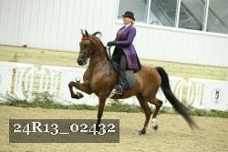 24R13_02432 thumbnail