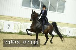 24R13_02433 thumbnail