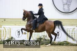 24R13_02434 thumbnail
