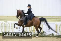 24R13_02435 thumbnail