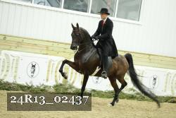 24R13_02437 thumbnail