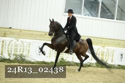 24R13_02438 thumbnail