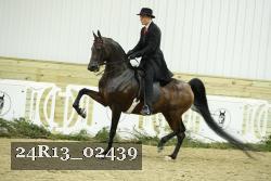 24R13_02439 thumbnail