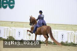 24R13_02440 thumbnail