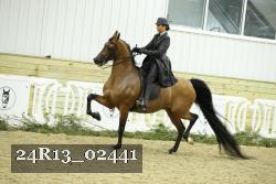24R13_02441 thumbnail