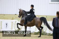 24R13_02442 thumbnail