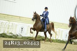 24R13_02443 thumbnail