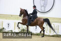 24R13_02444 thumbnail