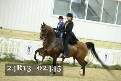 24R13_02445 thumbnail