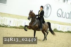 24R13_02446 thumbnail
