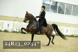 24R13_02447 thumbnail