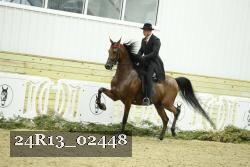 24R13_02448 thumbnail
