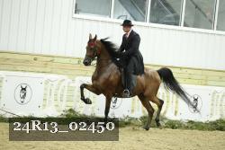 24R13_02450 thumbnail
